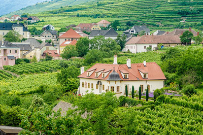 wein österreich